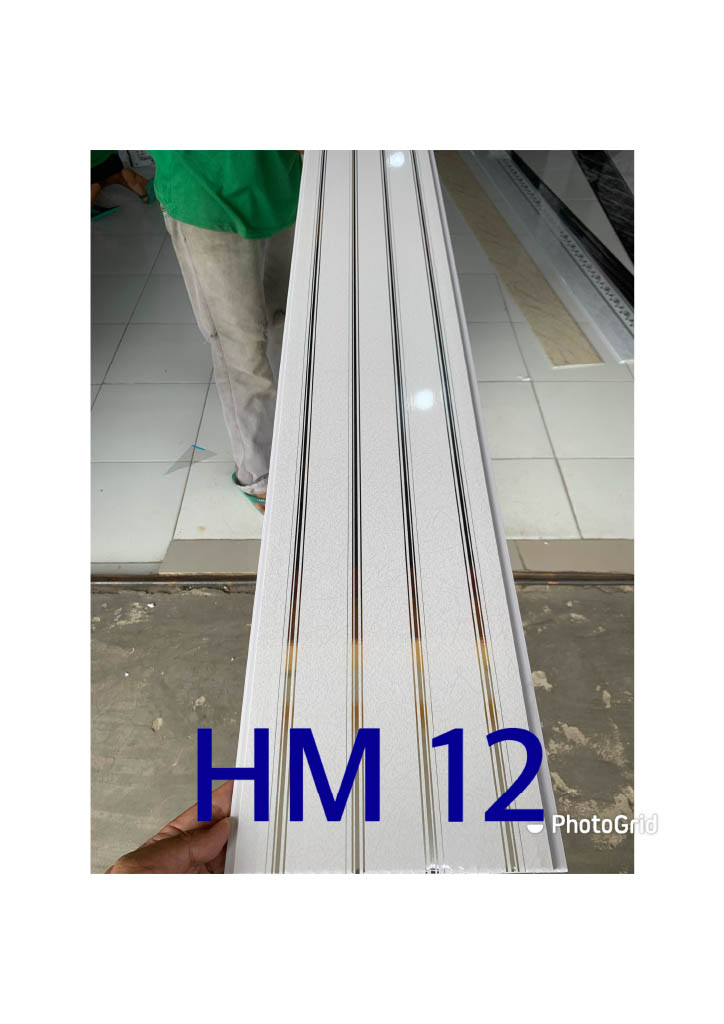 HM012